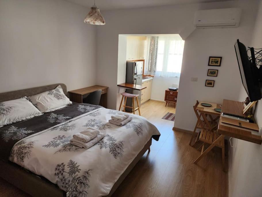 Andi'S Place-Comfy Studio-City Center 地拉那 外观 照片